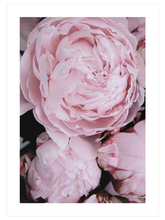 Parfum De Fleurs N1 - Art Print